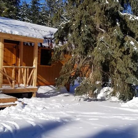 Bed and Breakfast Lonesome Dove Ranch à Kalispell Extérieur photo