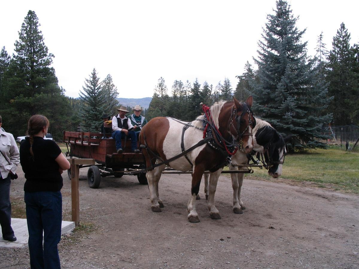 Bed and Breakfast Lonesome Dove Ranch à Kalispell Chambre photo